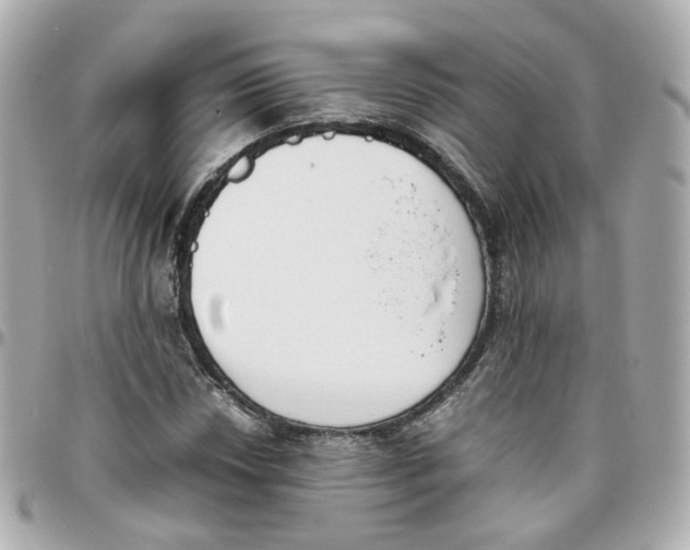 X0000095891018200802011102