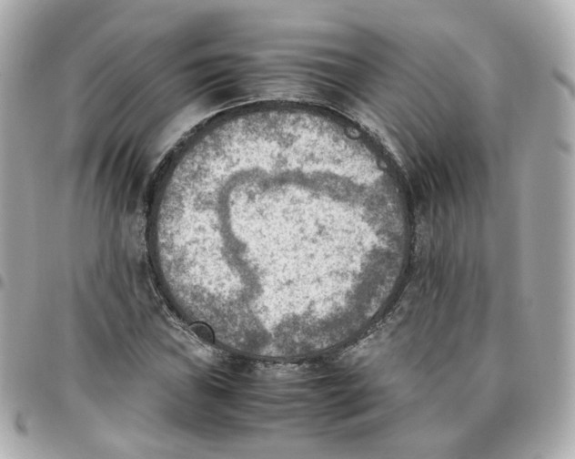 X0000095891019200802011102