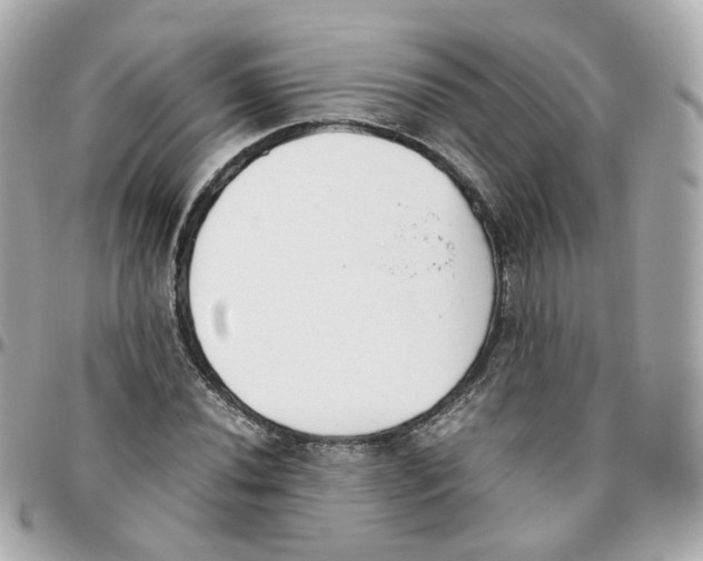 X0000095891020200802011102