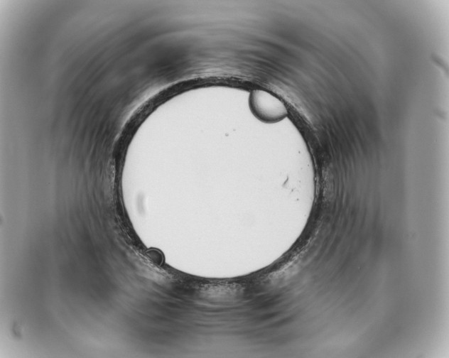 X0000095891021200802011102