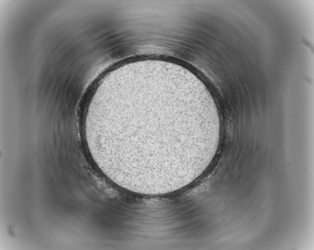 X0000095891022200802011102