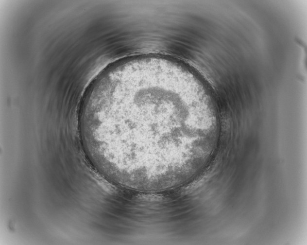 X0000095891023200802011102