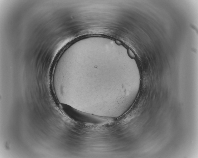 X0000095891024200802011102