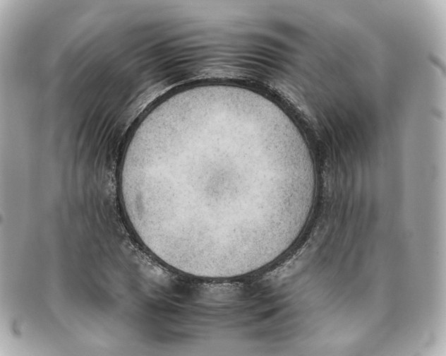 X0000095891025200802011102