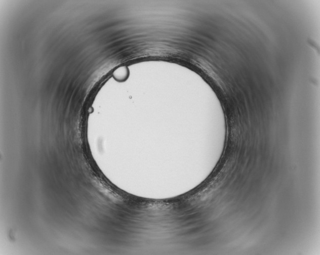 X0000095891026200802011102