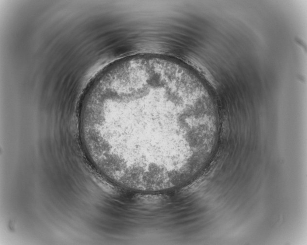 X0000095891027200802011102