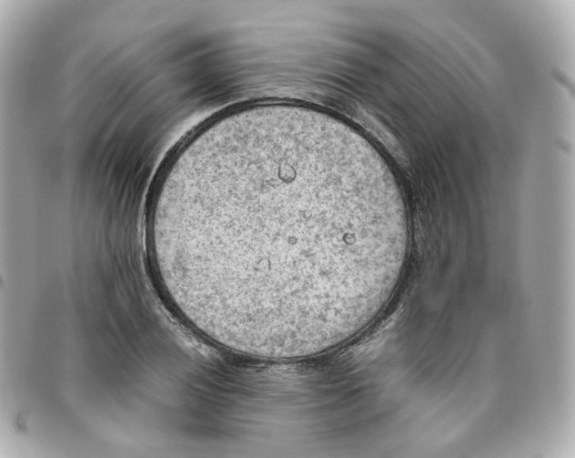 X0000095891028200802011102