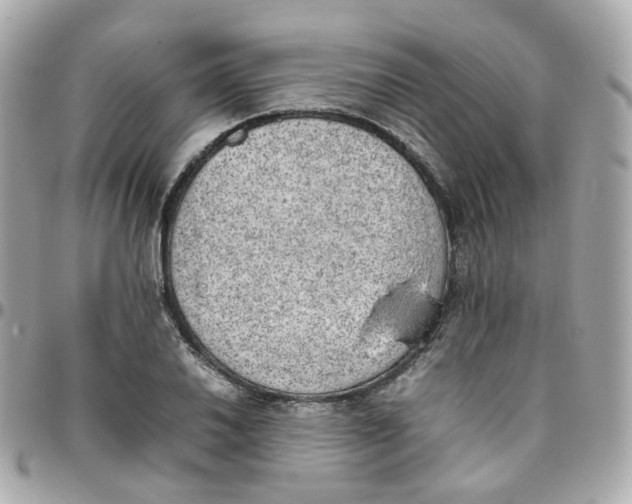 X0000095891030200802011102