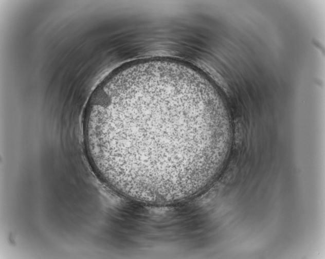 X0000095891031200802011102