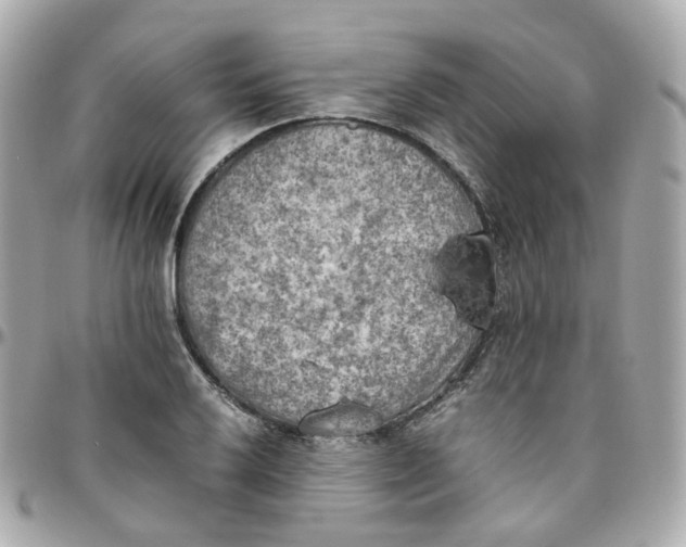 X0000095891032200802011102