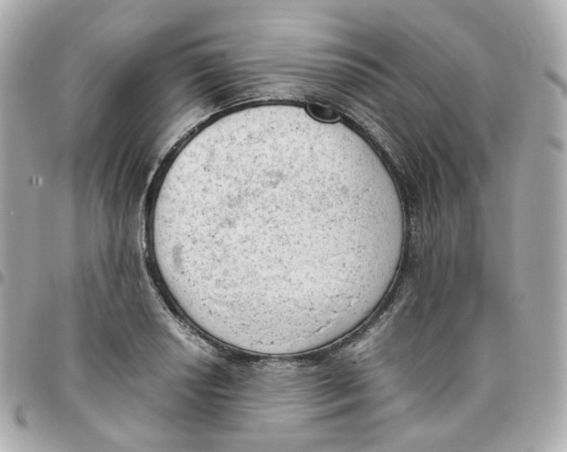 X0000095891034200802011102