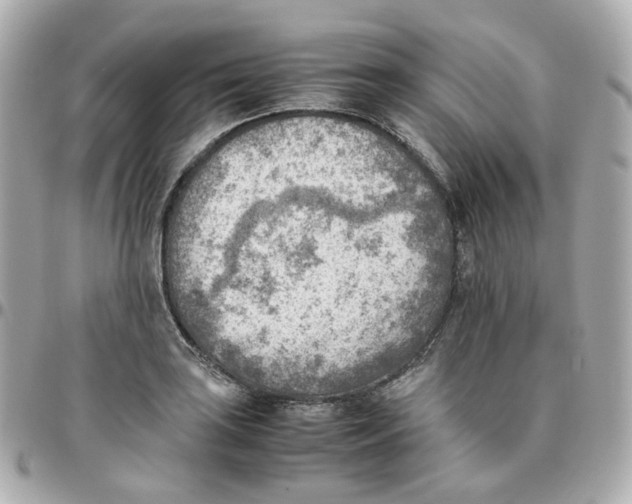 X0000095891035200802011102