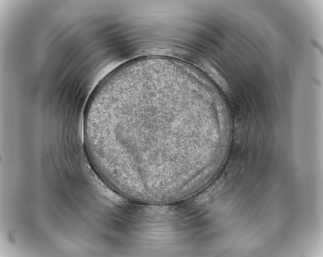 X0000095891036200802011102