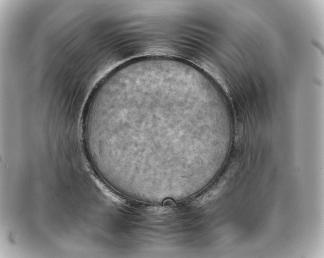 X0000095891037200802011102