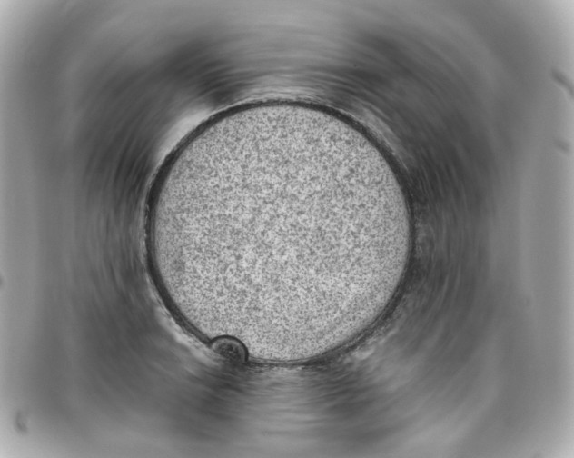 X0000095891038200802011102