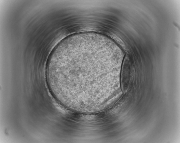 X0000095891039200802011102