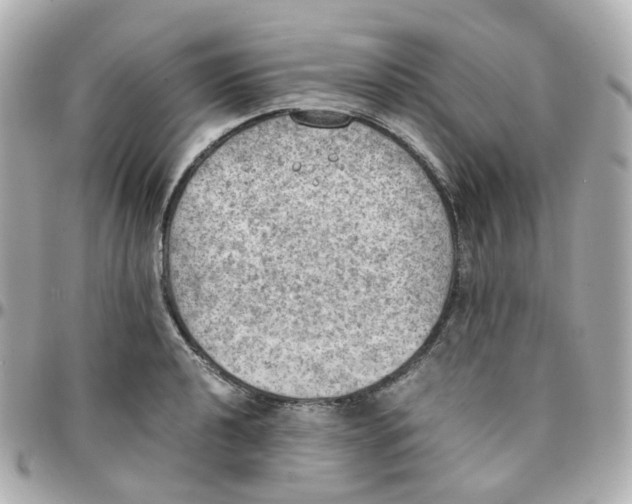 X0000095891040200802011102