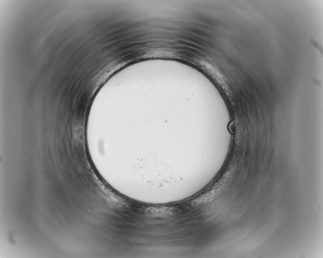 X0000095891041200802011102