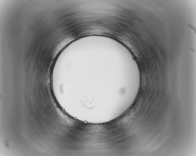 X0000095891042200802011102