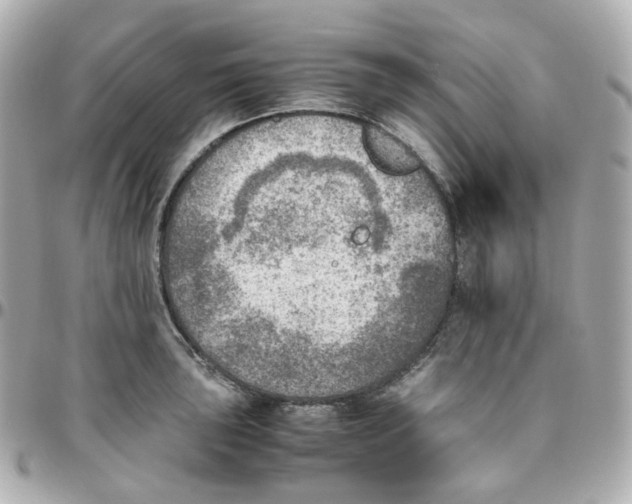 X0000095891043200802011102