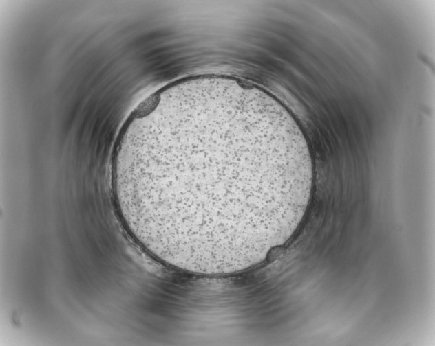 X0000095891044200802011102