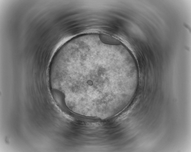 X0000095891045200802011102