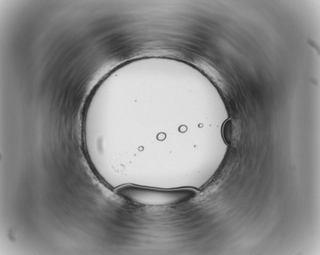 X0000095891046200802011102