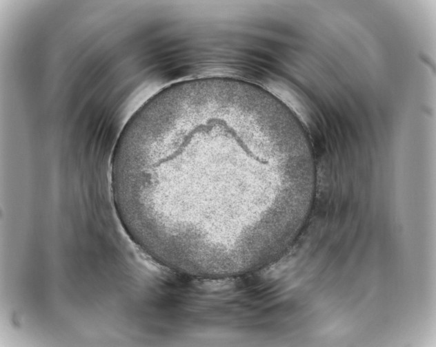 X0000095891047200802011102