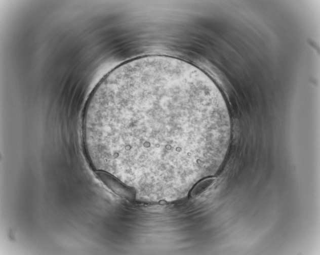 X0000095891048200802011102