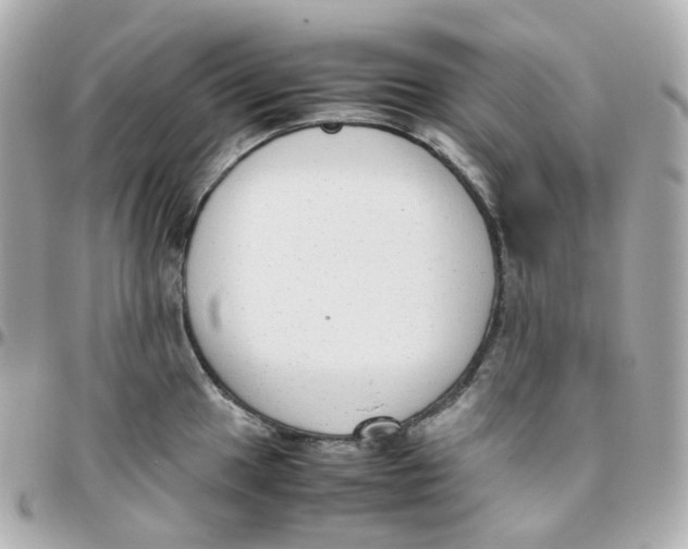 X0000095891049200802011102