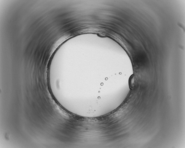 X0000095891050200802011102