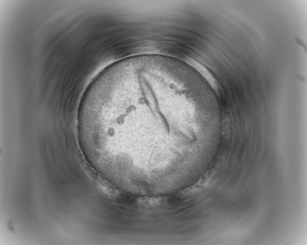 X0000095891051200802011102