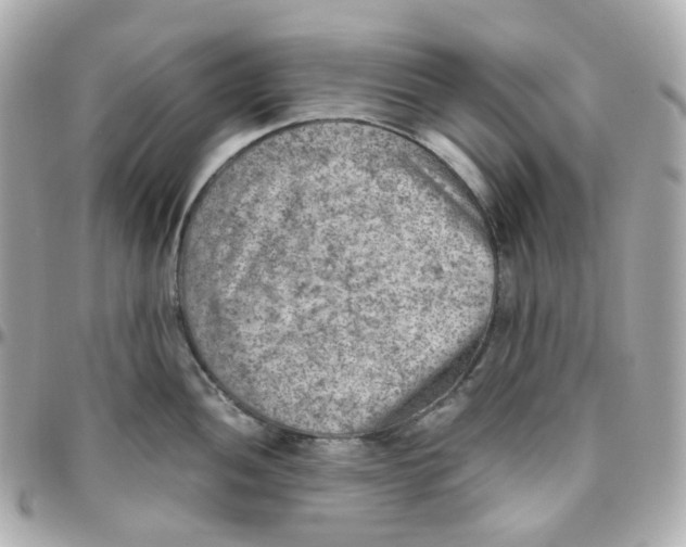 X0000095891052200802011102