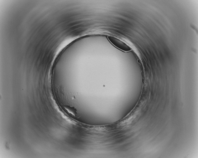 X0000095891053200802011102