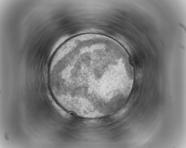 X0000095891054200802011102