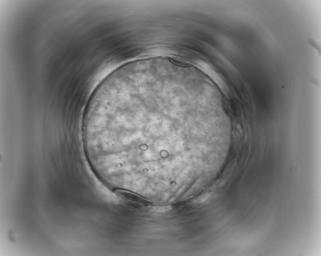 X0000095891055200802011102