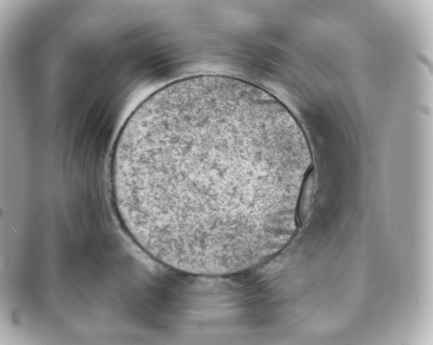 X0000095891056200802011103