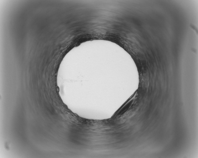 X0000095891057200802011102