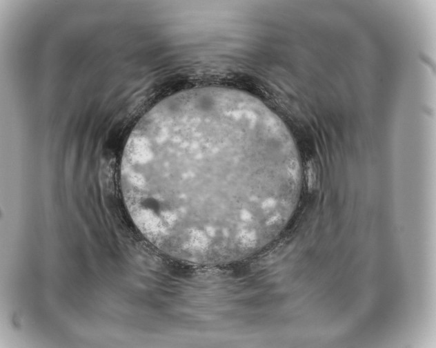 X0000095891059200802011102