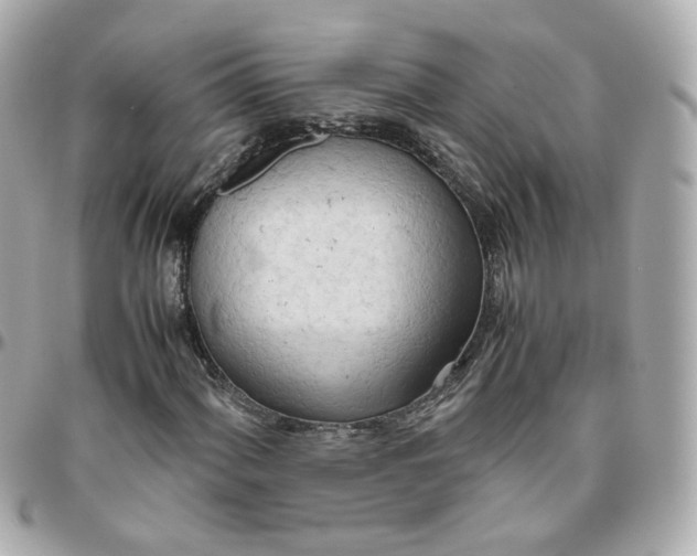 X0000095891060200802011102