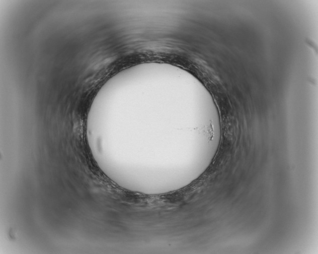 X0000095891061200802011102