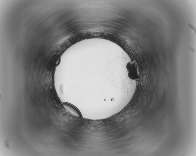 X0000095891062200802011102