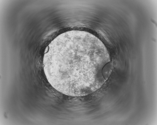 X0000095891063200802011102