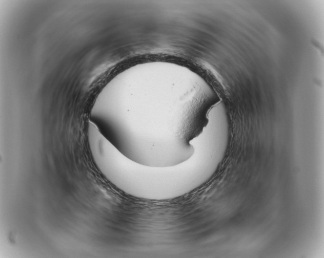 X0000095891064200802011102