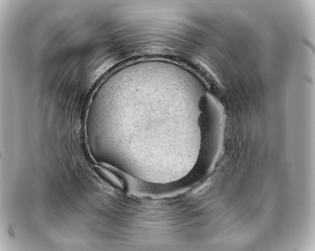 X0000095891065200802011102