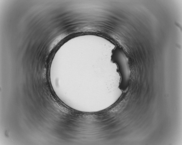 X0000095891066200802011102