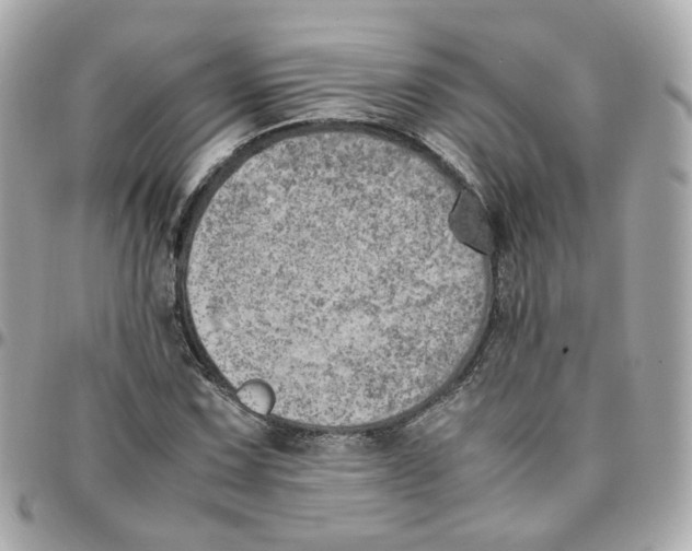 X0000095891067200802011102