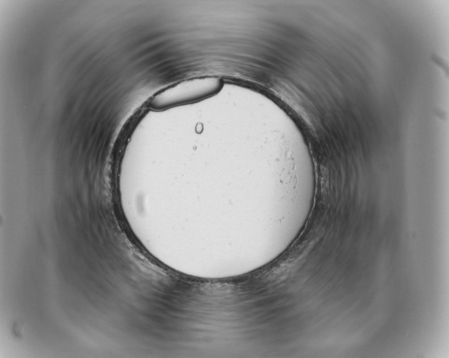 X0000095891068200802011102