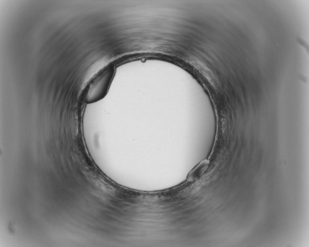 X0000095891069200802011102