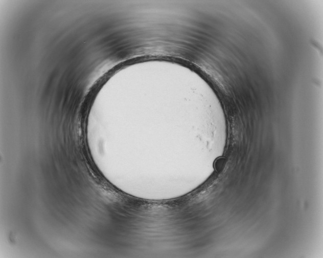 X0000095891070200802011102